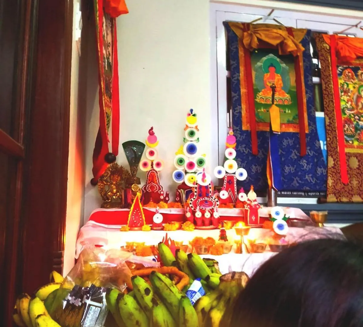 Peace Homestay Katmandú Nepal
